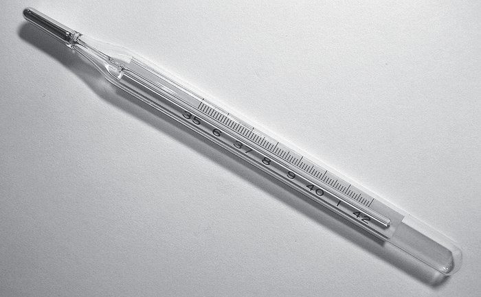 Termómetro digital — Gris