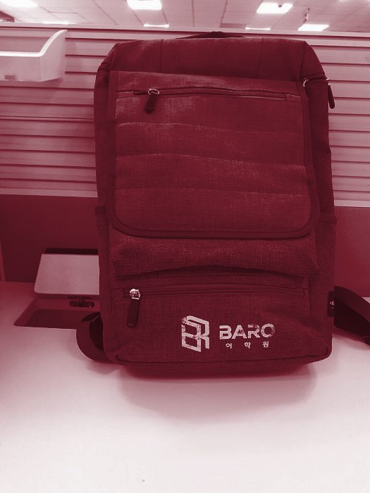 Mochila casual 18L — Vino